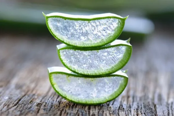 استفاده از آلوئه‌ورا به‌عنوان گیاه دارویی برای کاهش وزن