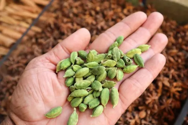 مصرف هل برای لاغری