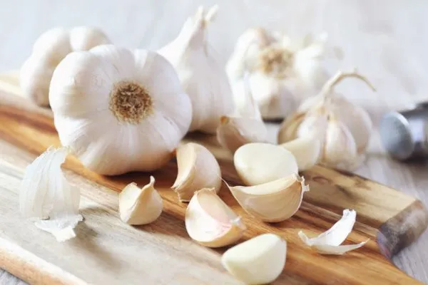 مصرف سیر برای جلوگیری از افزایش اشتها