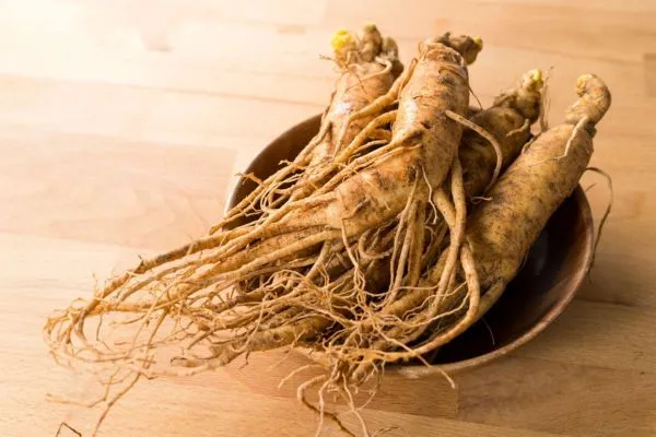 مصرف جیسینگ برای کاهش وزن