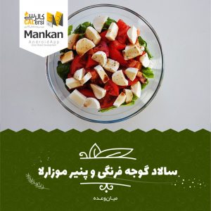 سالاد گوجه فرنگی و موزارلا