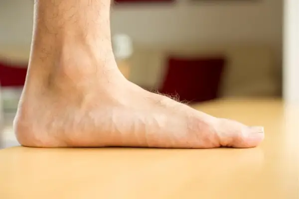 صافی کف پا و آناتومی پا