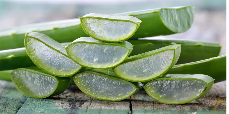 آلوئه ورا برای لاغری