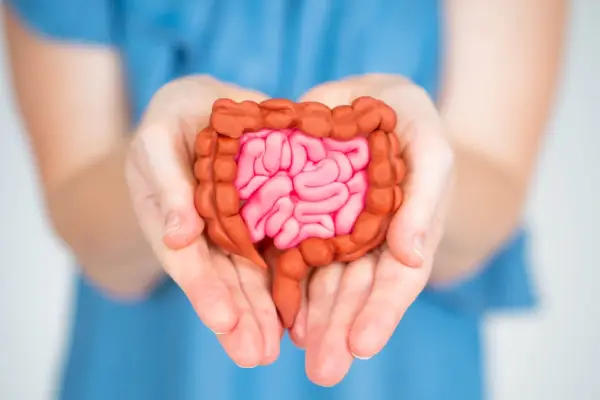 غذاهای تخمیری برای سلامت روده