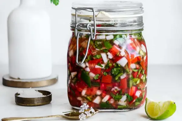 طرز تهیه ترشی تخمیری سالسا