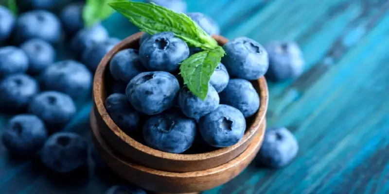 خواص بلوبری برای لاغری