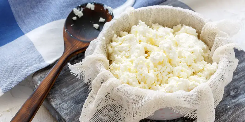 پنیر کاتیج برای لاغری