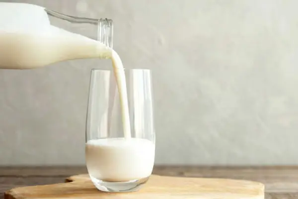 لبنیات در رژیم لاغری برای حفظ عضلات