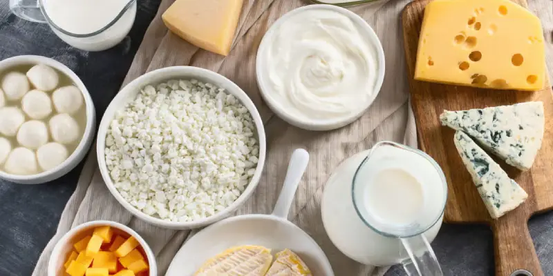 لبنیات در رژیم لاغری