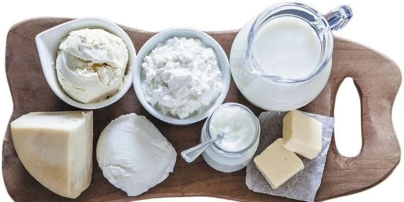 لبنیات پرچرب برای لاغری